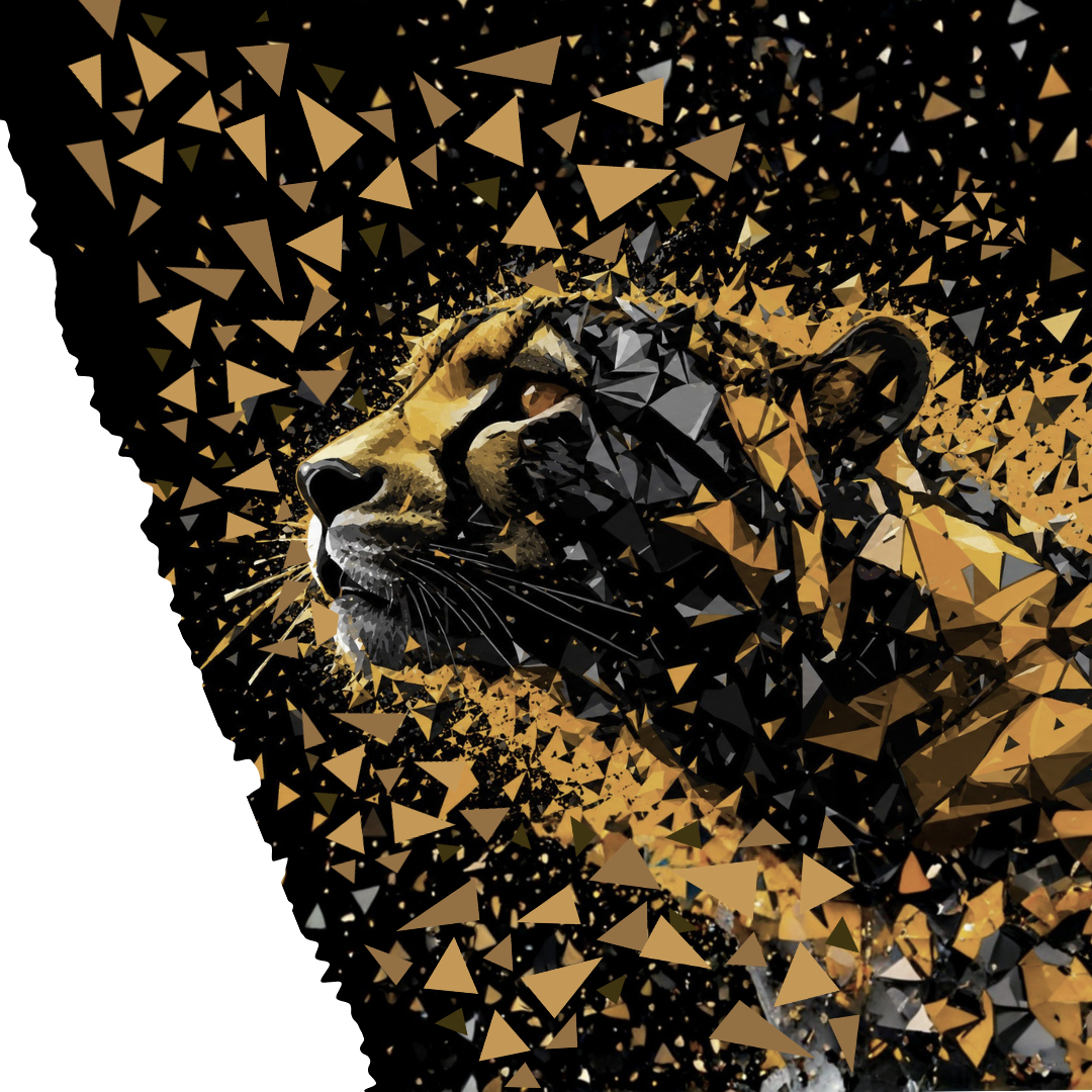 cheetah breakthrough